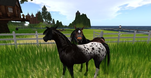 Web 530cf4b6a73e2160c3000001