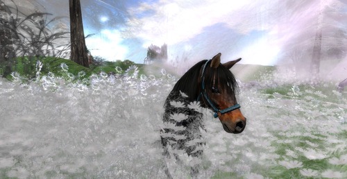 Web 530d716ef8a1ec6600000001