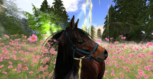 Web 530d74fc8da5722960000001