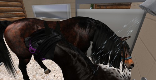 Web 536abb7a128cc94f42000001