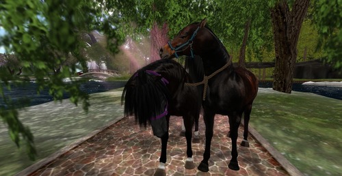 Web 53a89e618da5721808000001