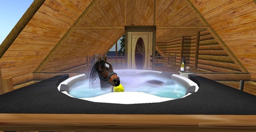 Web 53def7218da57250e0000001