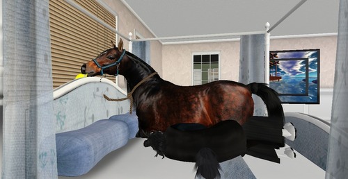 Web 53f18838128cc9403b000001