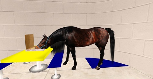 Web 542d9db5128cc90472000001