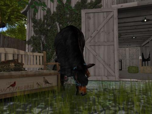 Web 5bf8a00773ed174df5000001