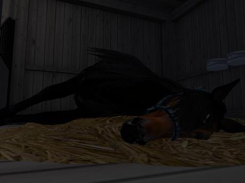 Web 5bf8bc10289dd211f8000001