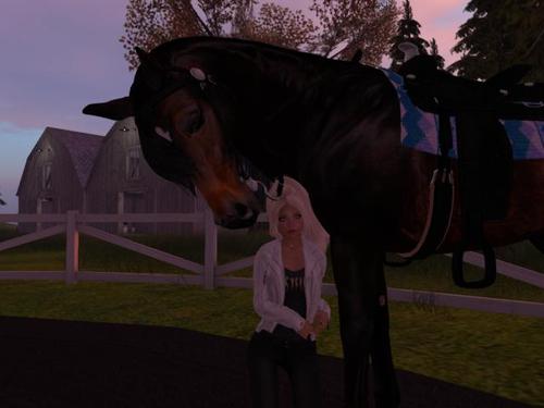 Web 5c05bd0dd9859c6f93000001