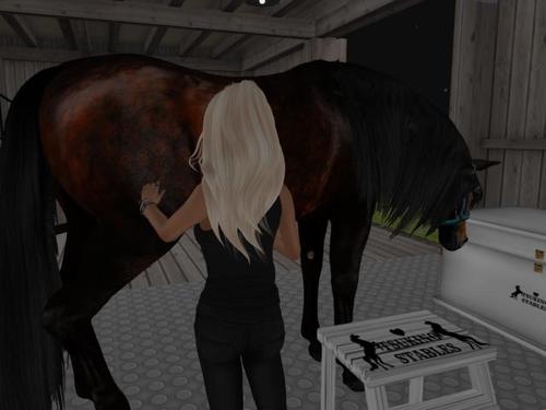 Web 5c93ebf073ed173277000001