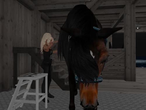 Web 5c93ebfcd9859c1143000001