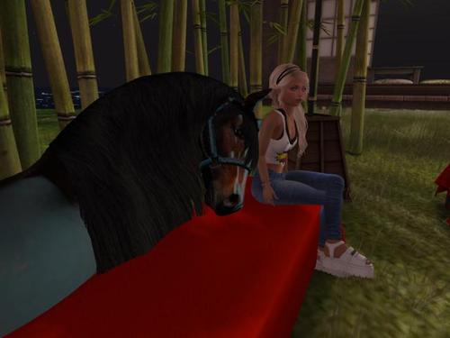 Web 5d5b03d773ed176419000001