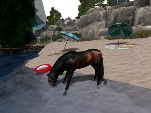 Web 5d5b254673ed173d24000001