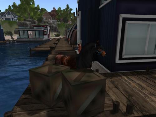 Web 5d5b2663d774f851f7000001