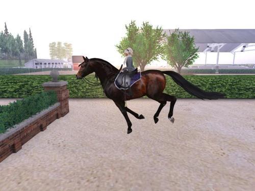 Web 5e47195ed774f82312bec4ec