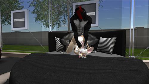 Web 5c4cabb2289dd23021000001