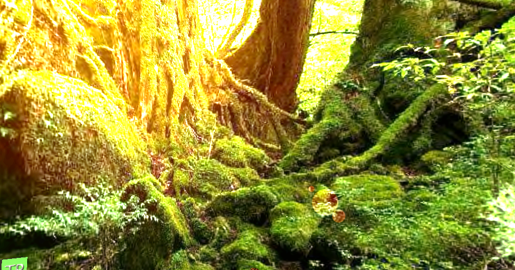 Original 585e0f5be85cda6bf9000001