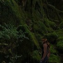 Thumb 5856e311e85cda4c77000001