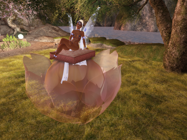 Original 627016e14ddcbf3e1fb39e7e