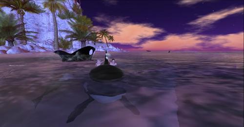 Web 5f381dc5d9859c21bcc29abb