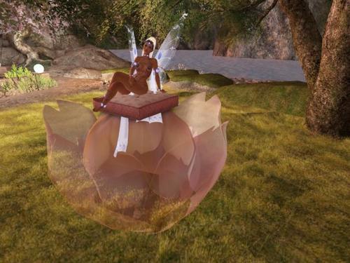 Web 627016e14ddcbf3e1fb39e7e