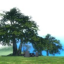 Thumb 57dc6cd4b01540726c000001