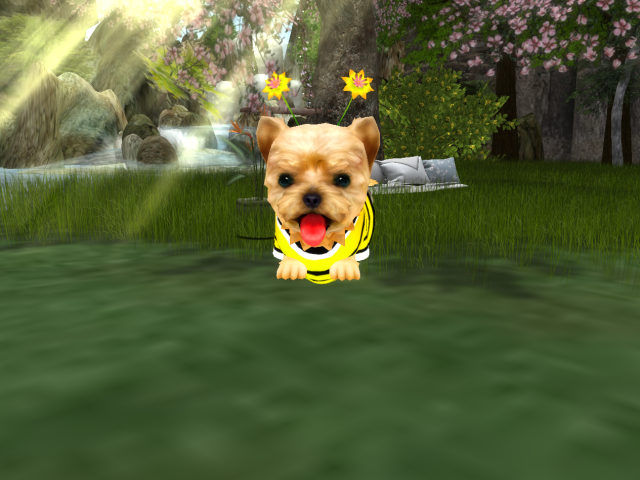 Original 5b69f84c73ed177e62000001