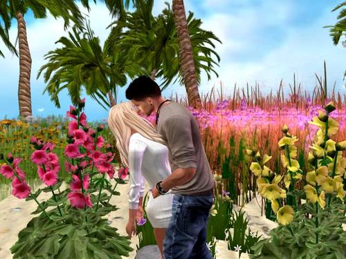 Web 5b5a0a1bd9859c664c000001