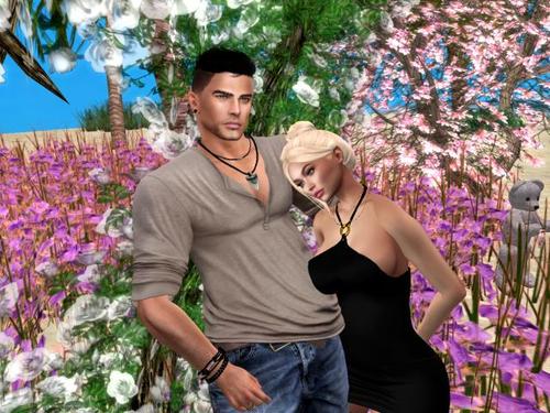 Web 5b5a130d73ed176c3f000001