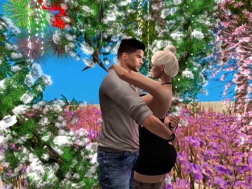 Web 5b5a1542d774f87c4a000001