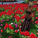 Thumb 535c3828128cc94d6d000001