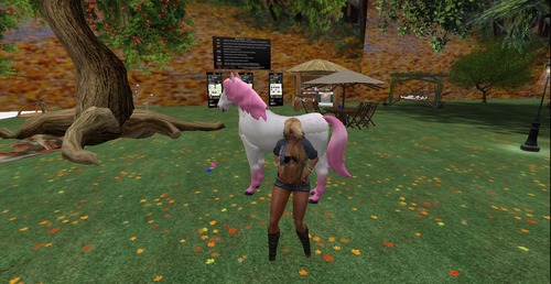 Web 5374c96ef8a1ec74e6000001