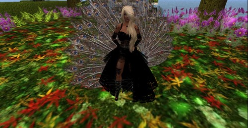 Web 539cc7c3128cc93a9b000001