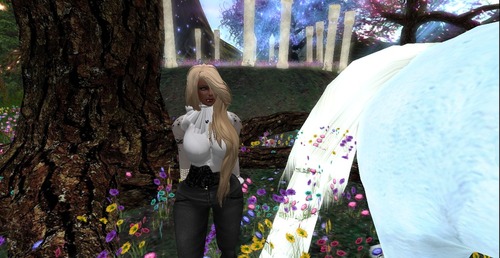 Web 539f9077a73e21251f000001