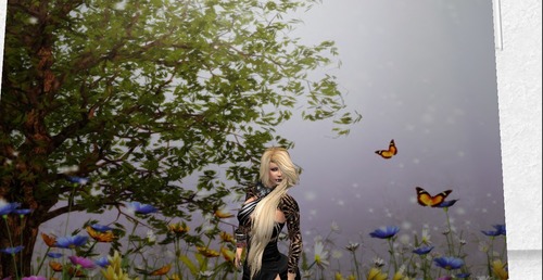 Web 53b0525aa73e2153ab000001