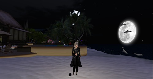 Web 53e3b636a73e213300000001