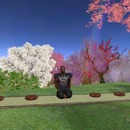 Thumb 57f9f450f8a1ec09d9000001