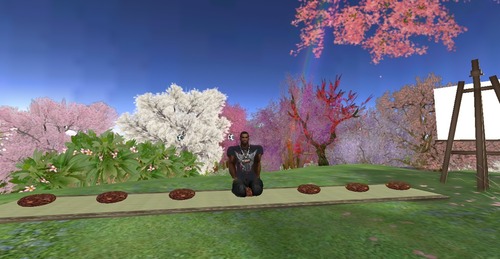 Web 57f9f450f8a1ec09d9000001