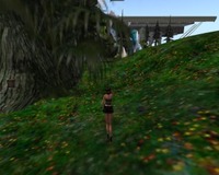 Small 53192248128cc934d0000001