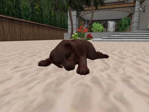 Web 580eacd5b015407cd6000001