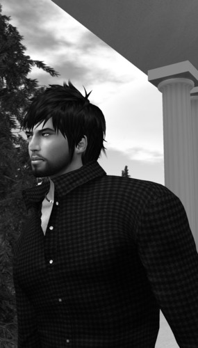 Web 56588dbb3f942f4554000001