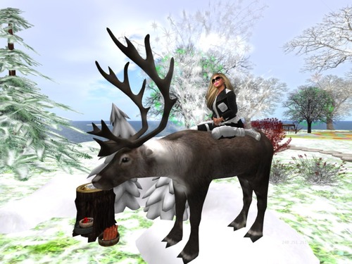 Web 566c4ff19934e024fd000001