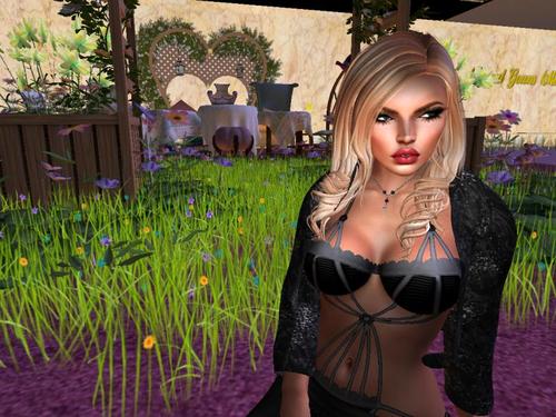 Web 58f2717b289dd253b0000001