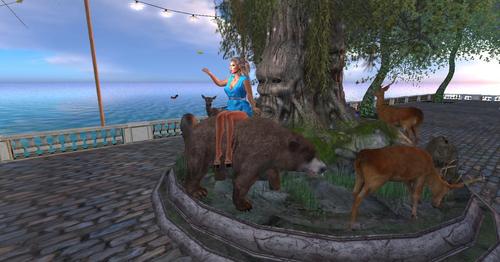 Web 5d388c11d774f86673000001