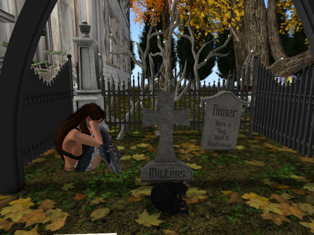 Original 57e94c33f8a1ec2dc9000001