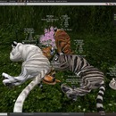 Thumb 546ee1728da57245d8000001