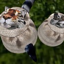 Thumb 546ee5ab8da572573a000001