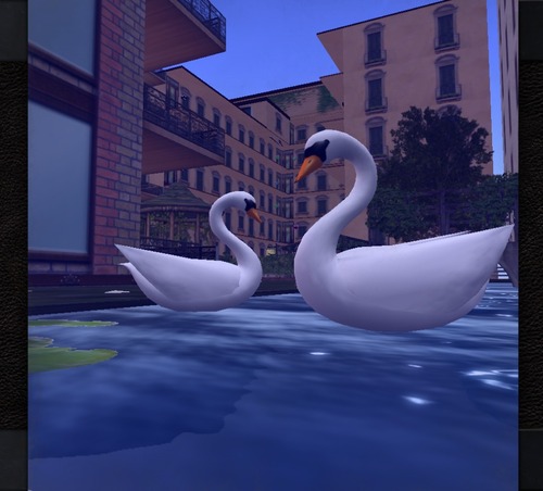 Web 5475b585128cc950f7000001