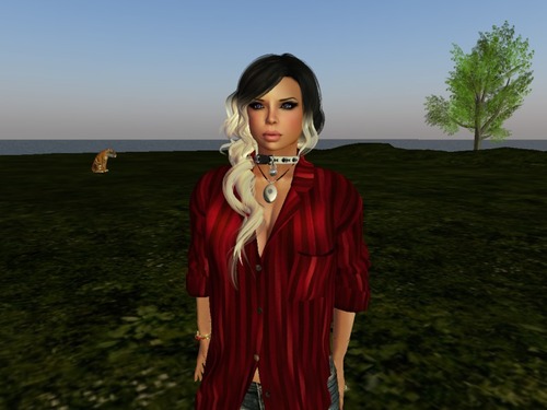 Web 54776a24128cc95350000001