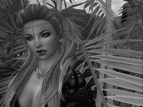 Web 55cfc0e1a73e217ca4000001