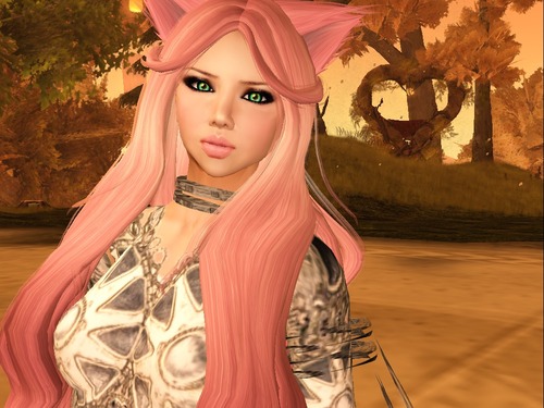 Web 55d3f7f3f8a1ec780a000001