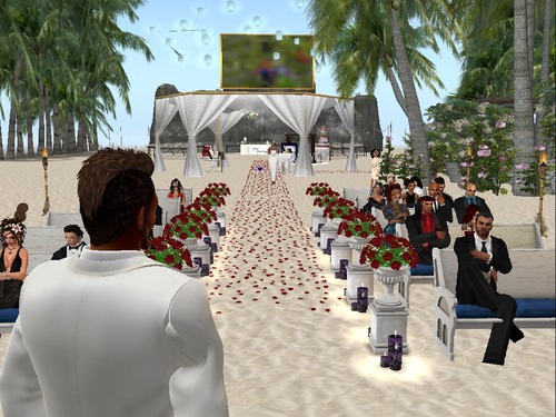 Web 55d9068fa73e210c9e000001